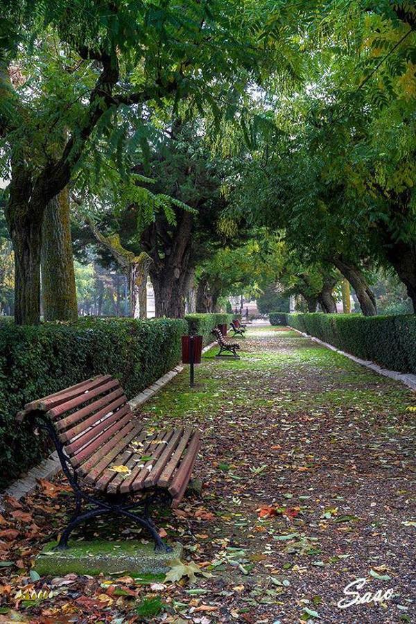 Pension Casa Pinilla Cascante Dış mekan fotoğraf